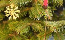 Tannenbaum